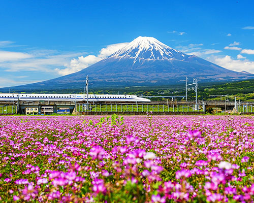 Train and Fuji, Shinkansen, bullet train, japan